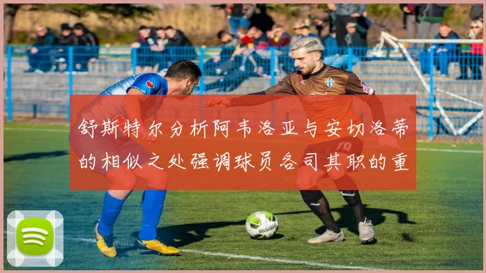 舒斯特尔分析阿韦洛亚与安切洛蒂的相似之处强调球员各司其职的重要性