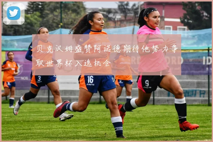 贝克汉姆盛赞阿诺德期待他努力争取世界杯入选机会
